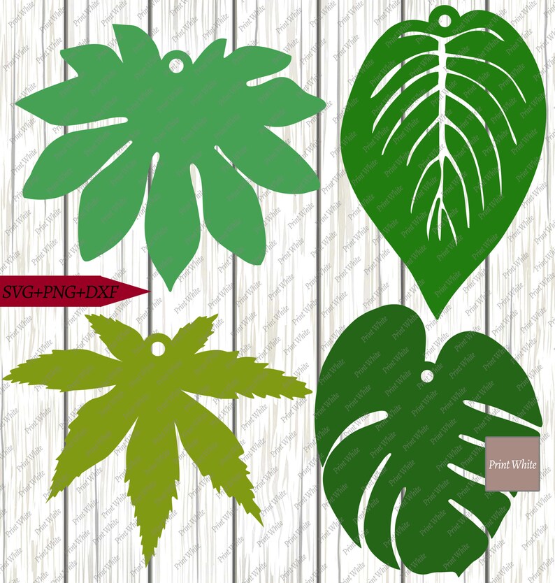 Download Tropical Leaves Pendant Svg Png Dxf Bundle Monstera Tear ...
