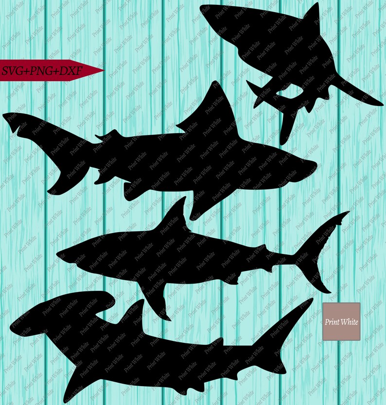 Download Shark Bundle Svg Png Dxf Great White Bull Shark Svg ...