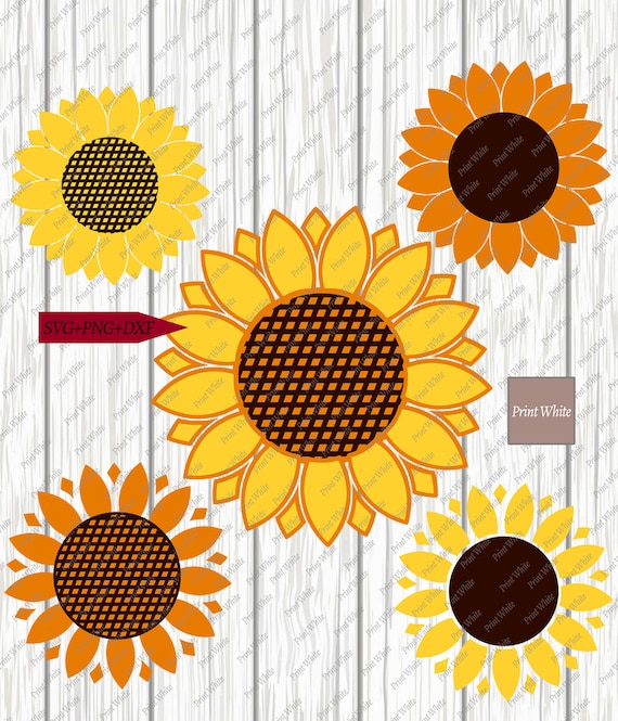 Download Sunflower Svg Bundle Dxf Png Sunflower Cut File Sublimation Etsy