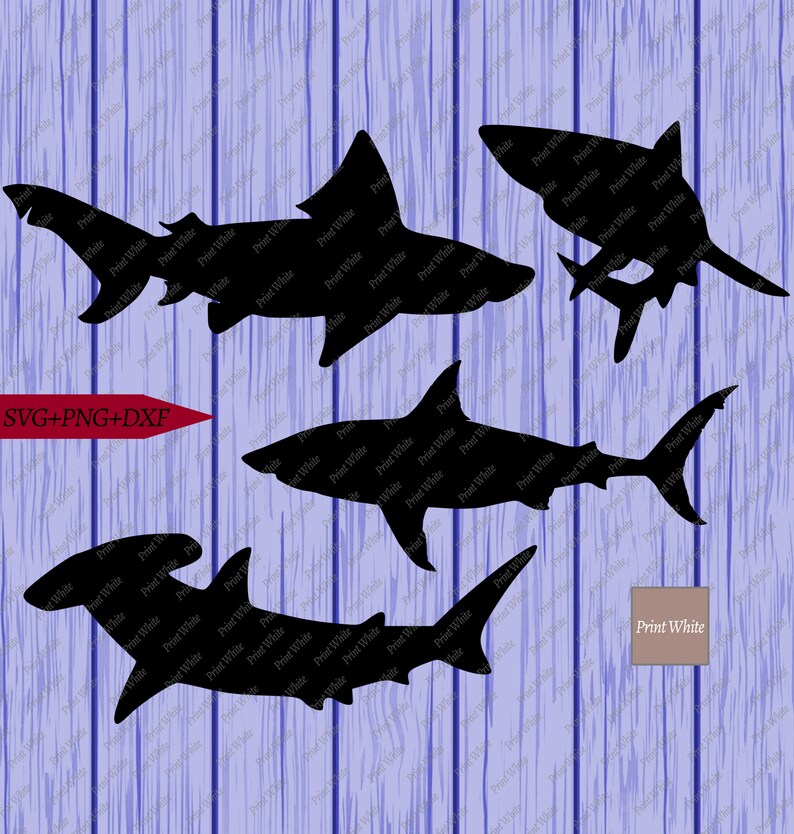 Free Free 85 Shark Svg Etsy SVG PNG EPS DXF File