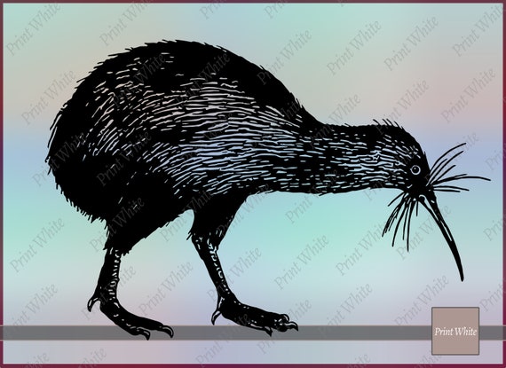 Kiwi Oiseau Svg Kiwi Oiseau Kiwi Clipart Oiseau Coupe Fichiers Coupe Cricut Animal Svg Oiseau Kiwi Svg Silhouette Kiwi Oiseau Timbre Numérique Png