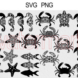 Pacchetto SVG di animali marini, licenza commerciale inclusa, Clipart nautico, pesce, stella marina, cavalluccio marino, tartaruga, granchio animale Mandala Zentangle