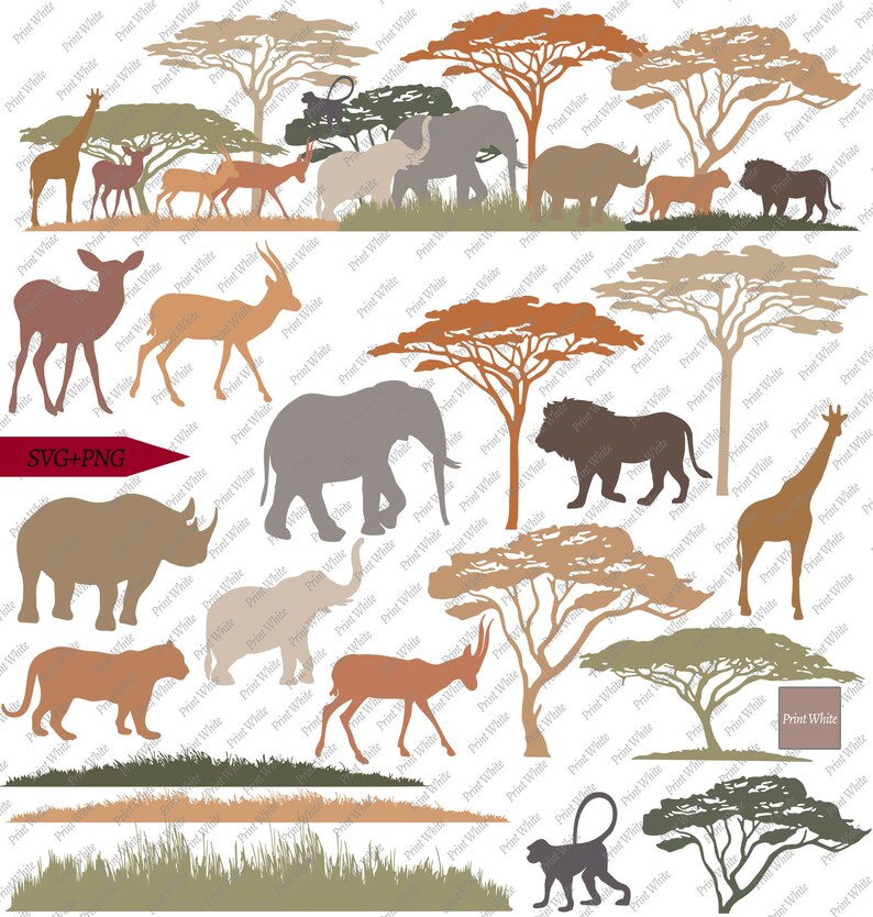 Safari Scene Svg Png Cricut Cut Files Colored Clipart - Etsy UK