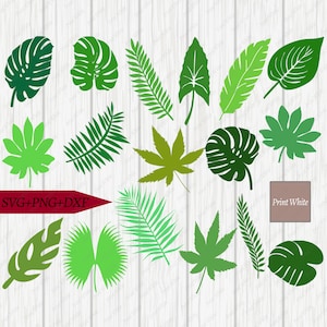 Tropical Leaves Svg Png Dxf Bundle Set Cricut Cut Files Silhouette Printable Digital Download Monstera Leaf Fern Stencil