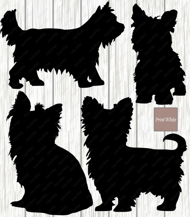 Download Yorkie Svg Dxf Png Yorkshire Terrier Silhouette Cut File | Etsy