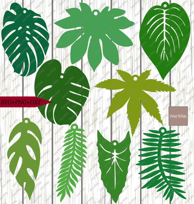 Download Tropical Leaves Pendant Svg Png Dxf Bundle Monstera Tear ...