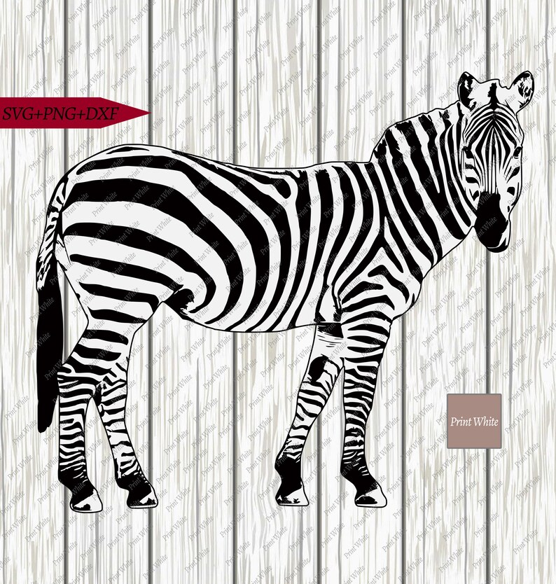 Download Zebra Svg Png Dxf Zebra Cut File Safari Sublimation Design | Etsy