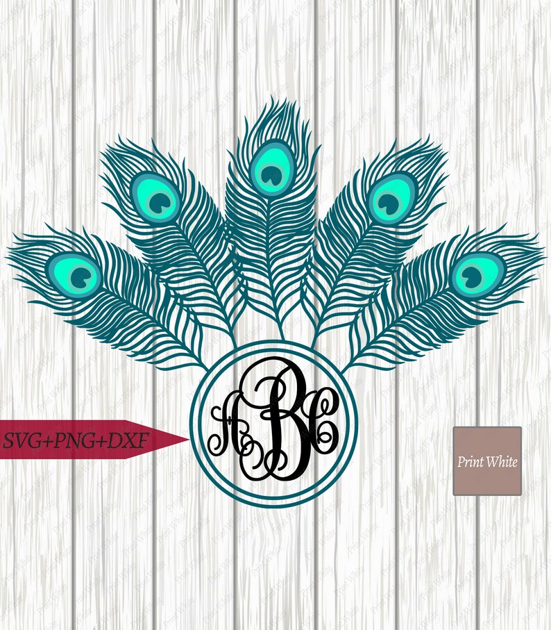 Download Peacock Feather Svg Peacock Feather Monogram Cut File Png ...