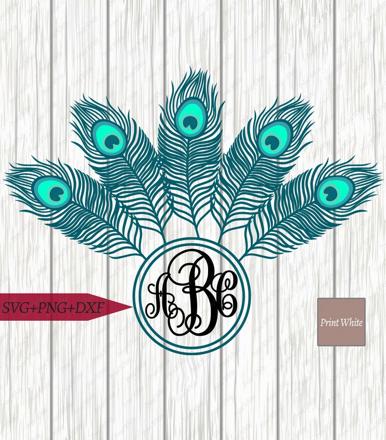 Download Peacock Feather Svg Peacock Feather Monogram Cut File Png ...