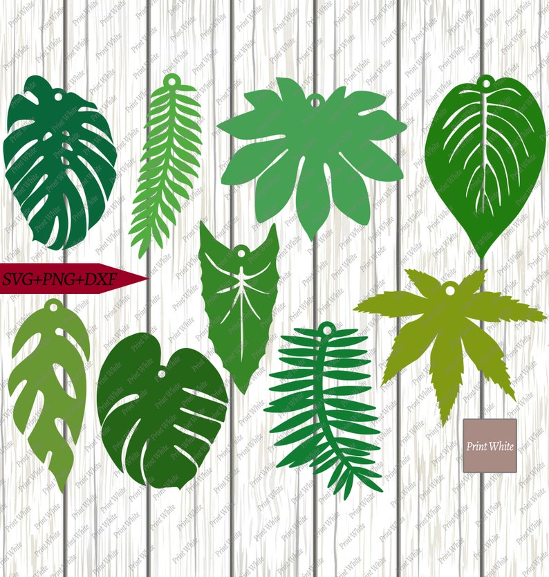 Download Tropical Leaves Pendant Svg Png Dxf Bundle Monstera Tear ...
