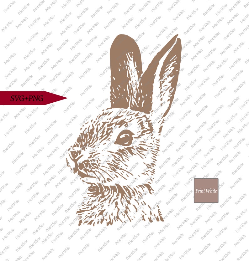 Download Realistic Bunny Portrait Svg Png Rabbit Head Clipart Colored Printable Decal Cricut Cut File Silhouette Sublimation Design Digital Download Clip Art Art Collectibles Kromasol Com