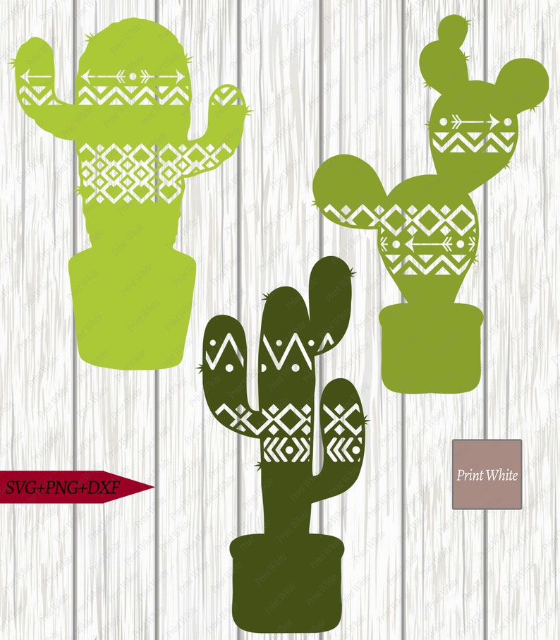Download Cactus Svg Boho Cactus Svg Bundle Boho Cactus Clip Art | Etsy