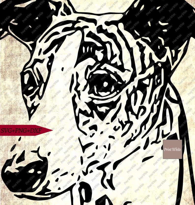 Download Whippet Greyhound Face Svg Png Dxf Dog Portrait Cut File ...