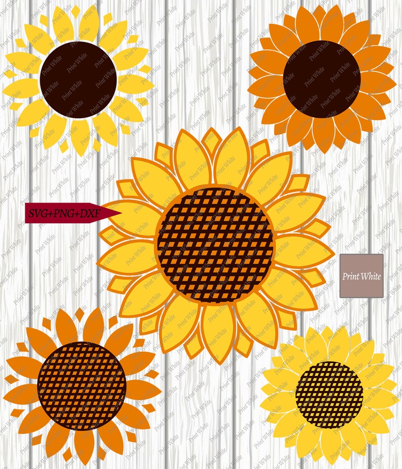 Download Sunflower Svg Bundle Dxf Png Sunflower Cut File Sublimation Design Printable Sunflower Floral Clipart Cricut Cutting Files Silhouette Vector Clip Art Art Collectibles