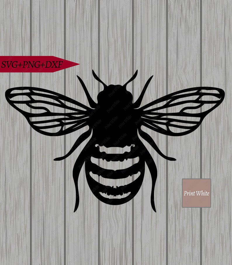 Free Free American Honey Svg 808 SVG PNG EPS DXF File