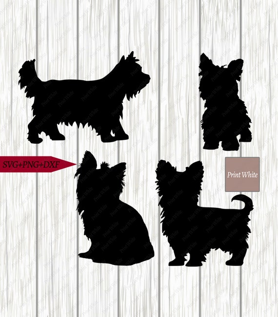 Download Yorkie Svg Dxf Png Yorkshire Terrier Silhouette Cut File Etsy