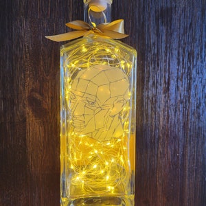 Hard Head Gin Bottle with LED Lights