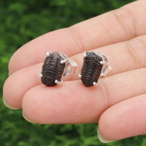 Trilobite Earring, Sterling Silver Earring, Trilobite Fossile Stud, Natural Gemstone Stud, Christmas Earrings, Birthday Gift For Women