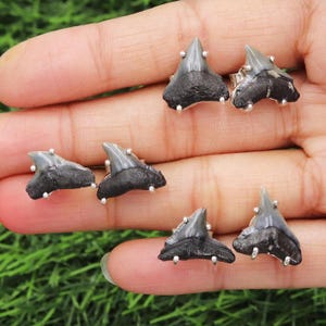 Shark Teeth Earrings, Fossil Earrings, Solid Sterling Silver Earrings, Gemstone Studs Earrings, Handmade Studs Earrings, Stud Earrings Women