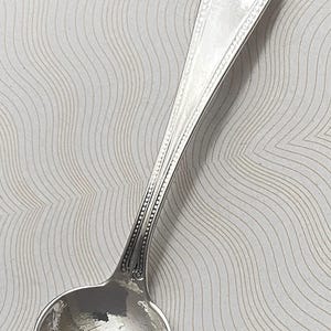 May include: A silver ladle with an oval bowl and a long handle. The handle features a decorative design along the edges and at the top. The ladle is likely made of stainless steel or a similar metal.
