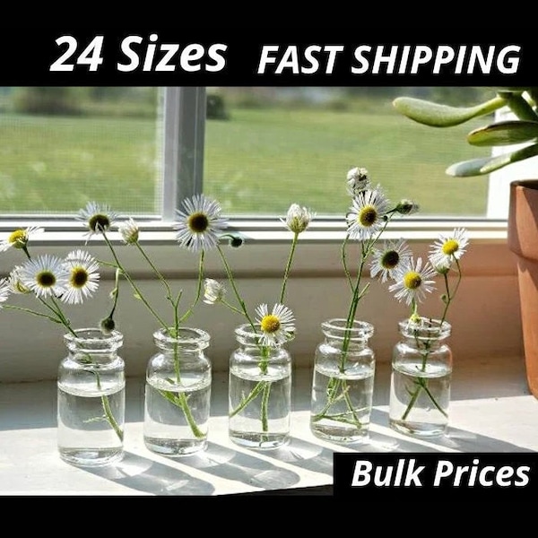 Mini Glass VASES | 24 sizes | Little Clear Empty Bottle Flower Bud | .5- 100ML | Wedding - Bridal or Baby Shower Favors - Gift - Bulk Prices