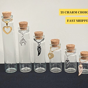 Pet Memorial Glass Jar Urn | Stainless Steel Charm Choices | Dog - Cat - Pet Loss | Cat Whiskers | Keepsake Fur Remembrance Gift |Paw Bottle
