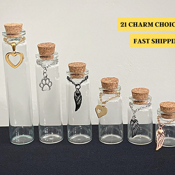 Pet Memorial Glass Jar Urn | Stainless Steel Charm Choices | Dog - Cat - Pet Loss | Cat Whiskers | Keepsake Fur Remembrance Gift |Paw Bottle