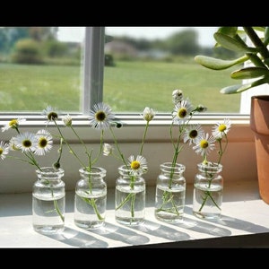 Little clear glass bottle Bud Vases Empty  8 ml  39mm tall (1  1/2 inch) tall Mother&#39;s Day Graduation