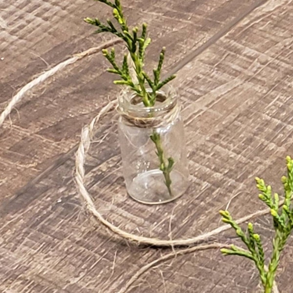 Mini clear glass bottle bud flower plant vase string garland EMPTY home garden decoration Rooter Hanging wall planter Optional cork