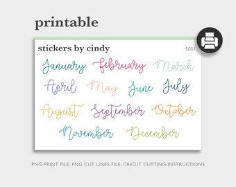 Planner Stickers Bujo stickers LARGE Months of the year #1082 script 