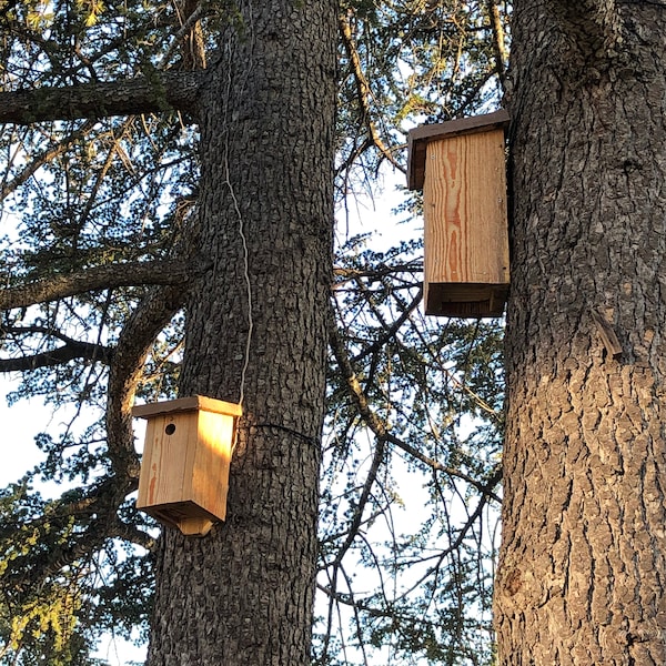 Nichoir Oiseaux bois (boite aux lettres)