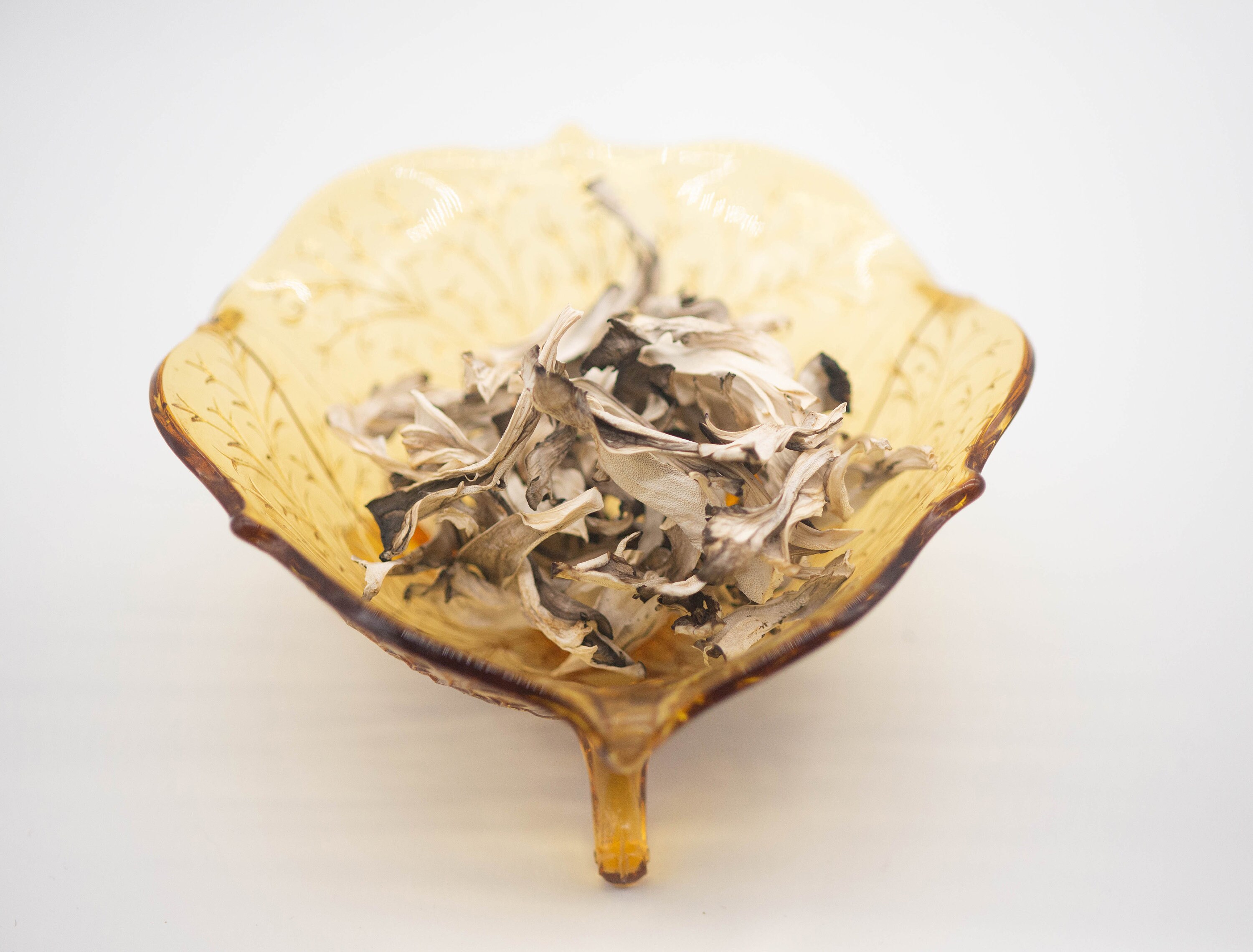 Maitake Hen of the Woods Grifola Frondosa Wild Foraged Dried Mushroom