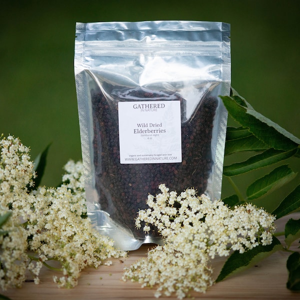 Elderberries, dried - Wild foraged dried elderberries, 4oz or 6oz, Sambucus nigra