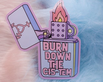 Burn Down The Cis-tem Large Vinyl Sticker