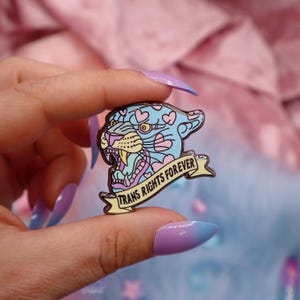 May include: A blue and pink enamel pin featuring a cartoon panther with hearts and the text "Trans Rights Forever" on a yellow banner.