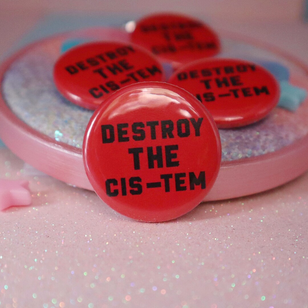 Destroy The Cis tem Button Badge Etsy destroy-the-cis-tem-button-badge-etsy
