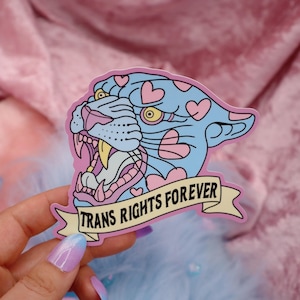 Trans Rights Forever Large Vinyl Sticker