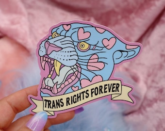 Trans Rights Forever Large Vinyl Sticker