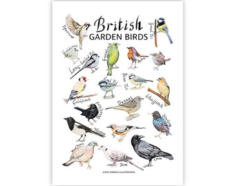 British Garden Bird Identification Poster Print | Wildlife Chart | Nature Art Print | British Wildlife