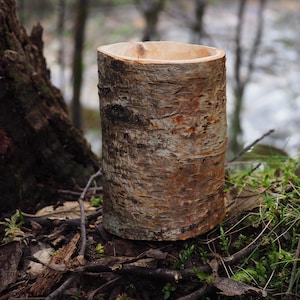 Könnte beinhalten: Ein zylindrischer Holzbehälter, gefertigt aus einem Baumstamm, mit natürlicher Rindenstruktur in Braun- und Beigetönen. Das Innere ist aus glattem, hellem Holz. Der Behälter befindet sich im Freien und deutet auf ein rustikales oder natürliches Thema hin.