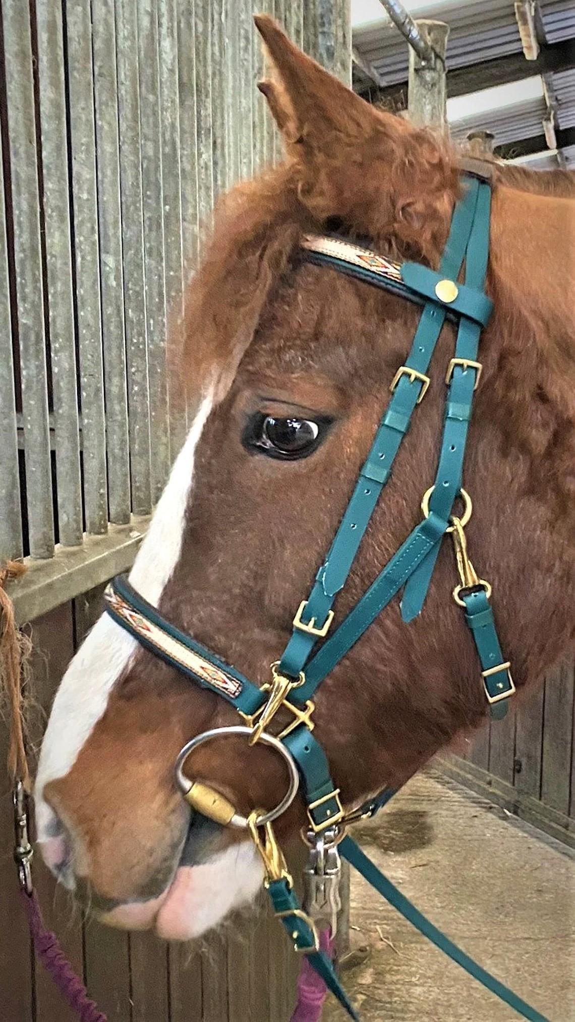 Synthetic, Padded, 2 Part Bridle in Matt Green with Native Windriver Overlay
