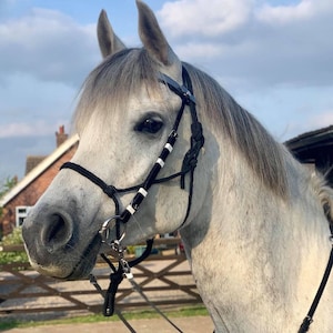 Perfeq Biothane Trek Rope Halter Bridle in Gloss Black and Silver