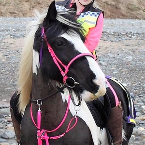 Puede incluir: Un caballo blanco y negro con una brida y riendas rosa y negra. El caballo está siendo montado por una persona que lleva un chaleco de seguridad rosa y amarillo.
