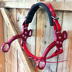 Lightweight, Synthetic Biothane , Hackamore Nose in Gloss or Matt Red with Red Hackamore Pieces