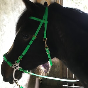 Synthetic, Biothane, English Hackamore, Bitless Bridle Matt Lime Green