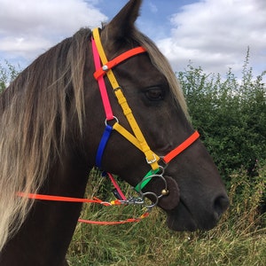 Perfeq, Lined, Multicoloured 2 Part Biothane Bridle