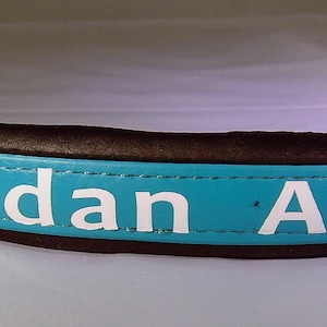 May include: A turquoise leather dog collar with the name "Kadan Aramis" embroidered in white.