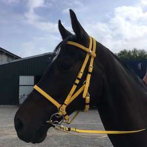 2 Part Synthetic Padded Brow and Noseband Biothane Bridle in Matt Yellow