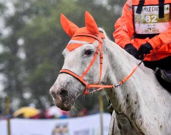 Synthetic, Biothane, Bitless, Cross Under Bitless bridle