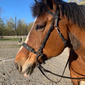 Perfeq, Synthetic English Hackamore Bridle in Matt Dark Brown Biothane - Complete Bridle